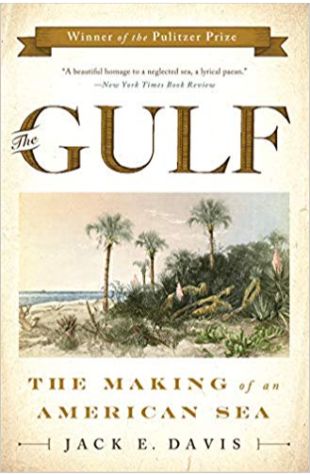 The Gulf: The Making of an American Sea