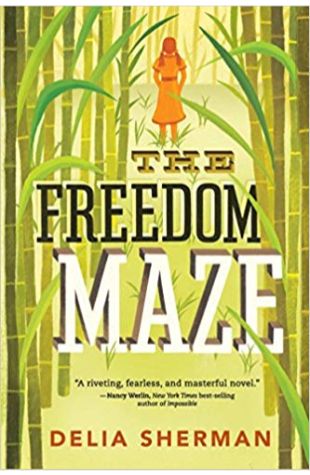 The Freedom Maze