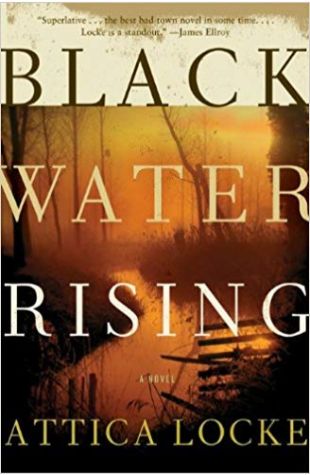 Black Water Rising: A Novel