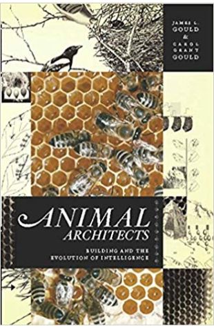 Animal Architects: Building and the Evolution of Intelligence