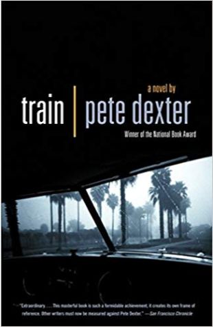 Train: A Novel