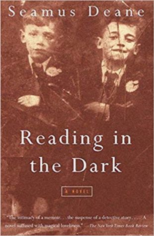 Reading in the Dark: A Novel