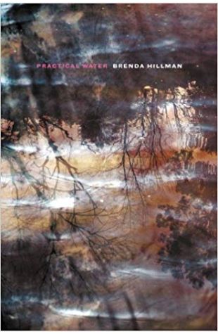 Practical Water Brenda Hillman