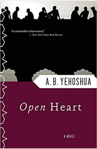 Open Heart: A Novel