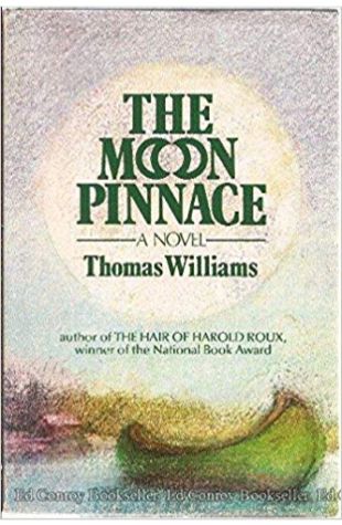 The Moon Pinnacle
