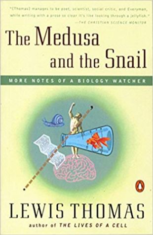 The Medusa and the Snail