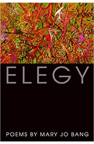 Elegy