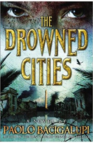 The Drowned Cities: A Novel