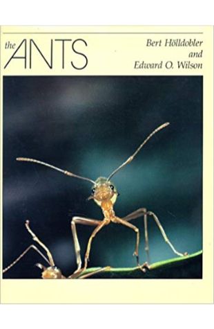 The Ants