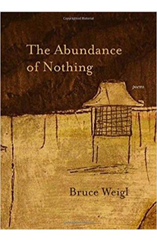 The Abundance of Nothing