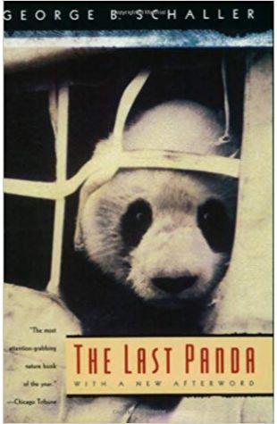 The Last Panda