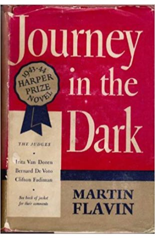 Journey in the Dark Martin Flavin