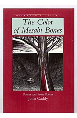 The Color of Mesabi Bones: Poems and Prose Poems