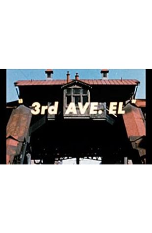 3rd Ave. El Carson Davidson