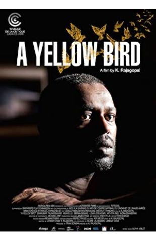 A Yellow Bird K Rajagopal