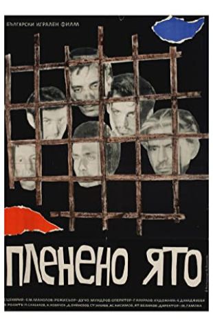 Captive Flock Ducho Mundrov