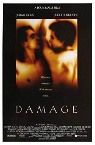 Damage Miranda Richardson