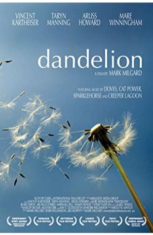 Dandelion Tim Orr