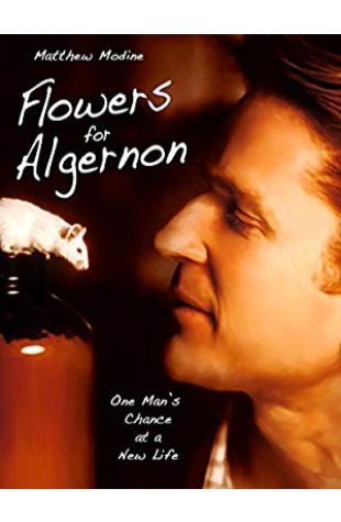 Flowers for Algernon Matthew Modine