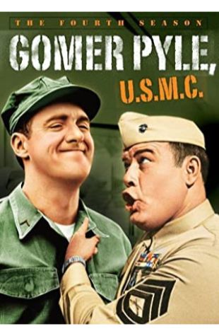 Gomer Pyle: USMC Aaron Ruben