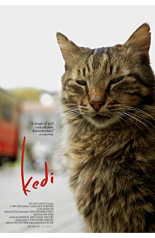 Kedi