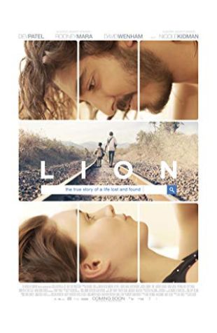 Lion Garth Davis