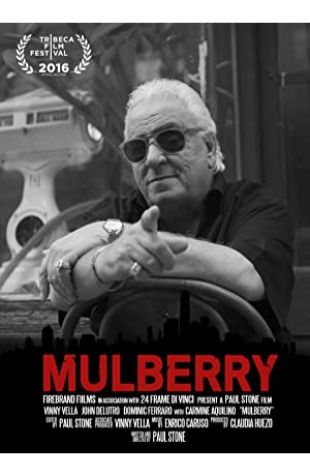 Mulberry Paul Stone