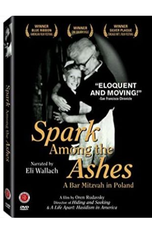 Spark Among the Ashes: A Bar Mitzvah in Poland Oren Rudavsky