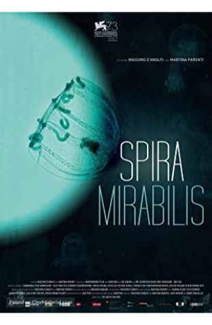 Spira Mirabilis Massimo D'Anolfi