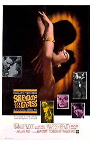 Splendor in the Grass Elia Kazan