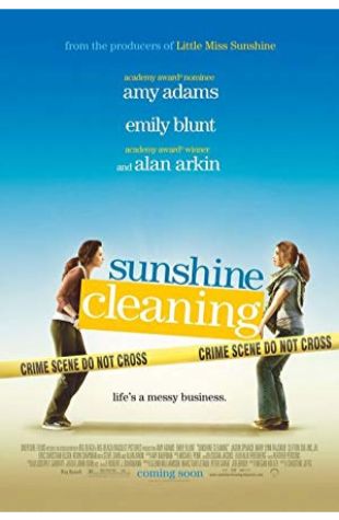 Sunshine Cleaning Emily Blunt