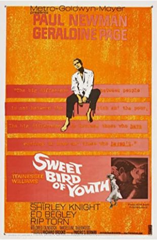 Sweet Bird of Youth Paul Newman