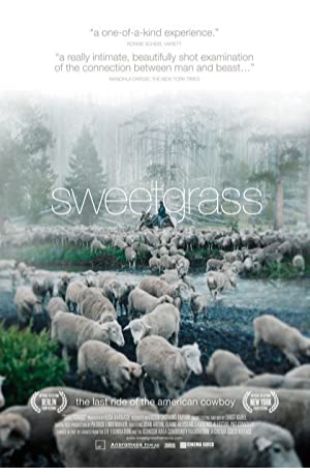 Sweetgrass Ilisa Barbash