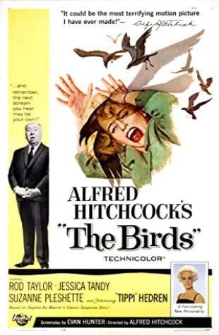 The Birds Ub Iwerks