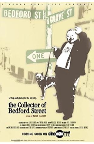 The Collector of Bedford Street Alice Elliott