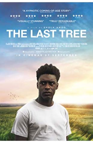 The Last Tree Samuel Adewunmi