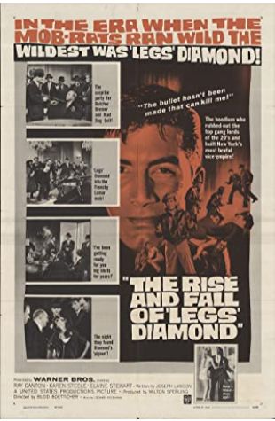 The Rise and Fall of Legs Diamond Howard Shoup