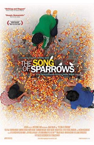 The Song of Sparrows 