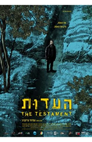 The Testament Amichai Greenberg