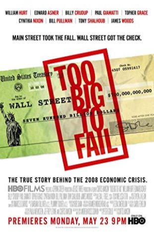 Too Big to Fail 