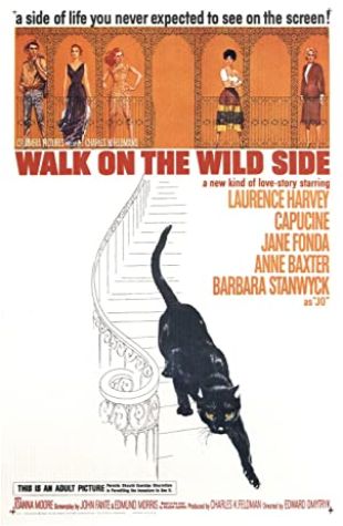 Walk on the Wild Side Elmer Bernstein