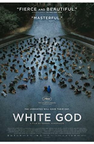 White God Kornél Mundruczó