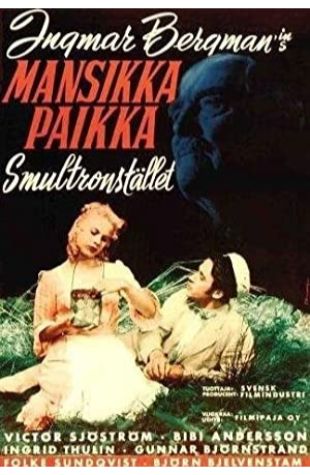 Wild Strawberries
