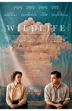 Wildlife Carey Mulligan