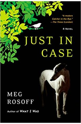 Just in Case by Meg Rosoff