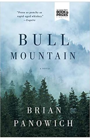 Bull Mountain by Brian Panowich