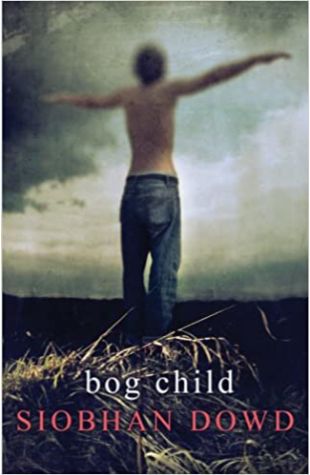 Bog Child by Siobhan Dowd