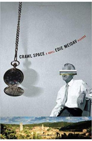 Crawl Space by Edie Meidav