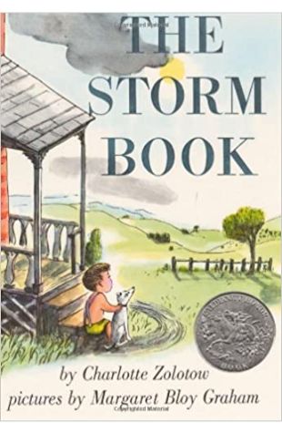 Storm Book Charlotte Zolotow