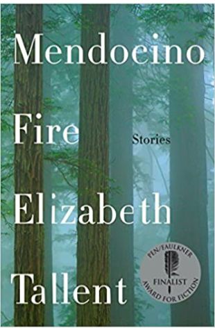 Mendocino Fire: Stories Elizabeth Tallent